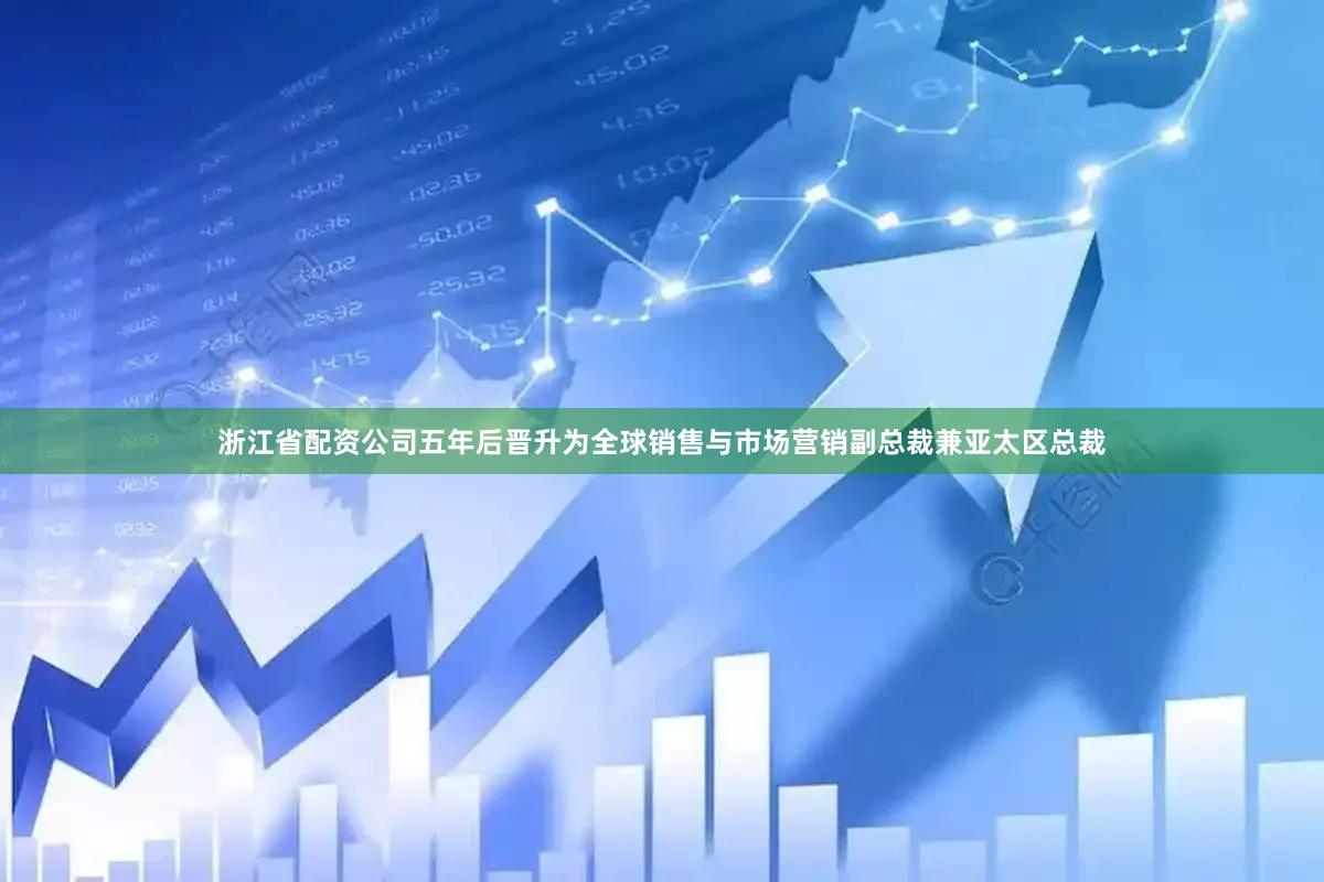 浙江省配资公司五年后晋升为全球销售与市场营销副总裁兼亚太区总裁