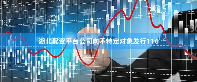 湖北配资平台公司向不特定对象发行116